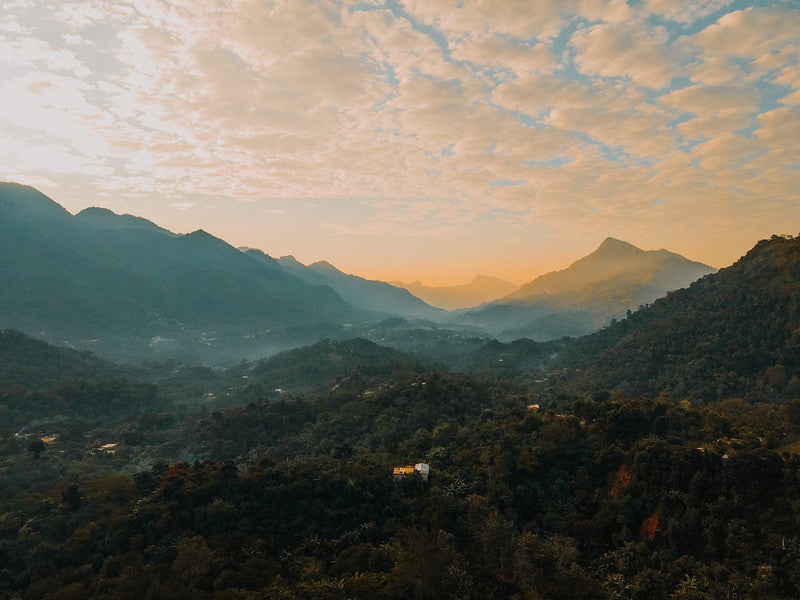 Guatemala Coffee Producers Union Catanil