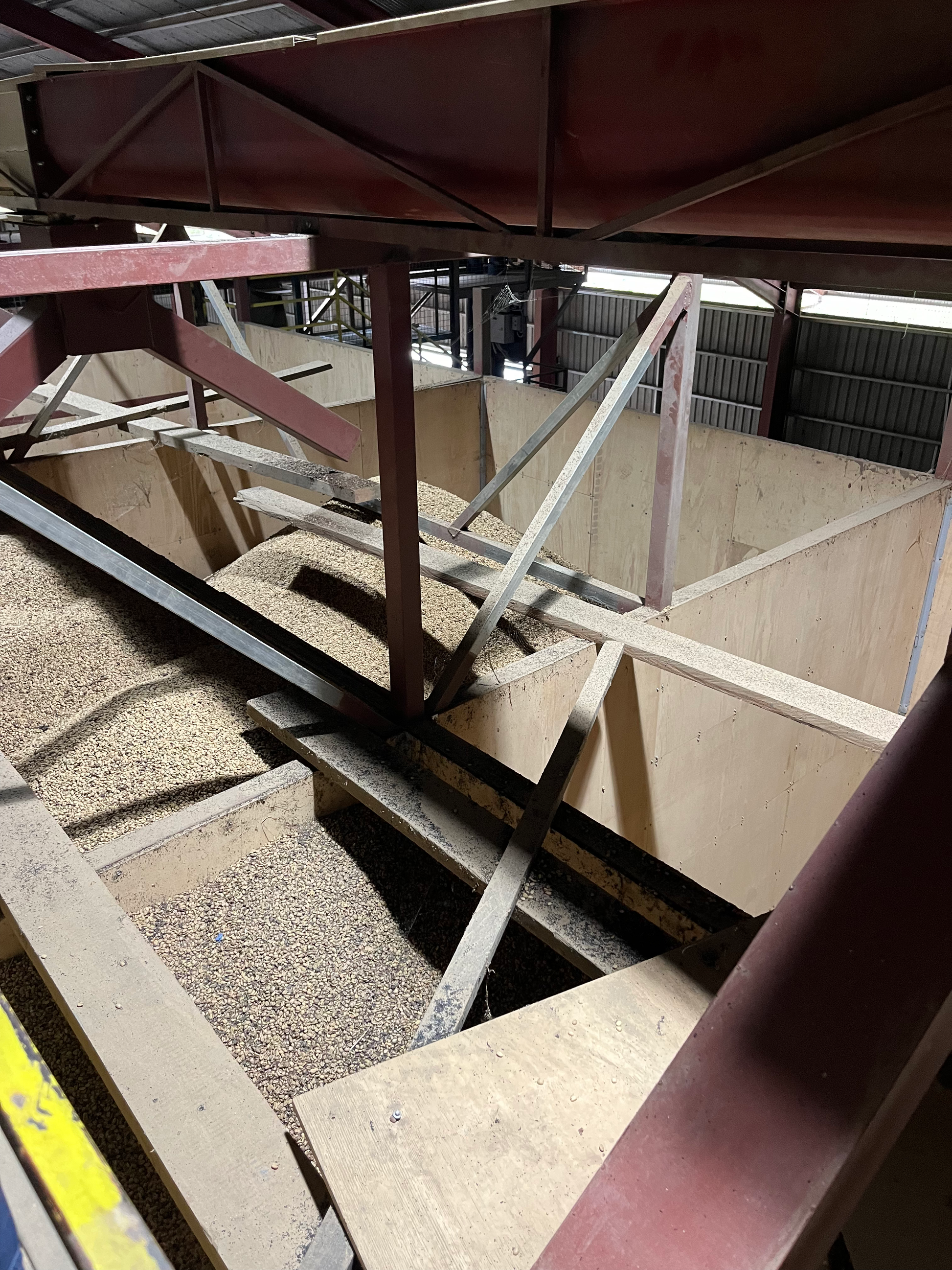 Papua New Guinea Coffee - Whole Bean Coffee Being Made